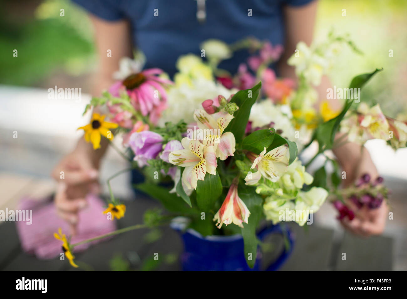 A person arranging a bunch of flowers in a vase. Stock Photo