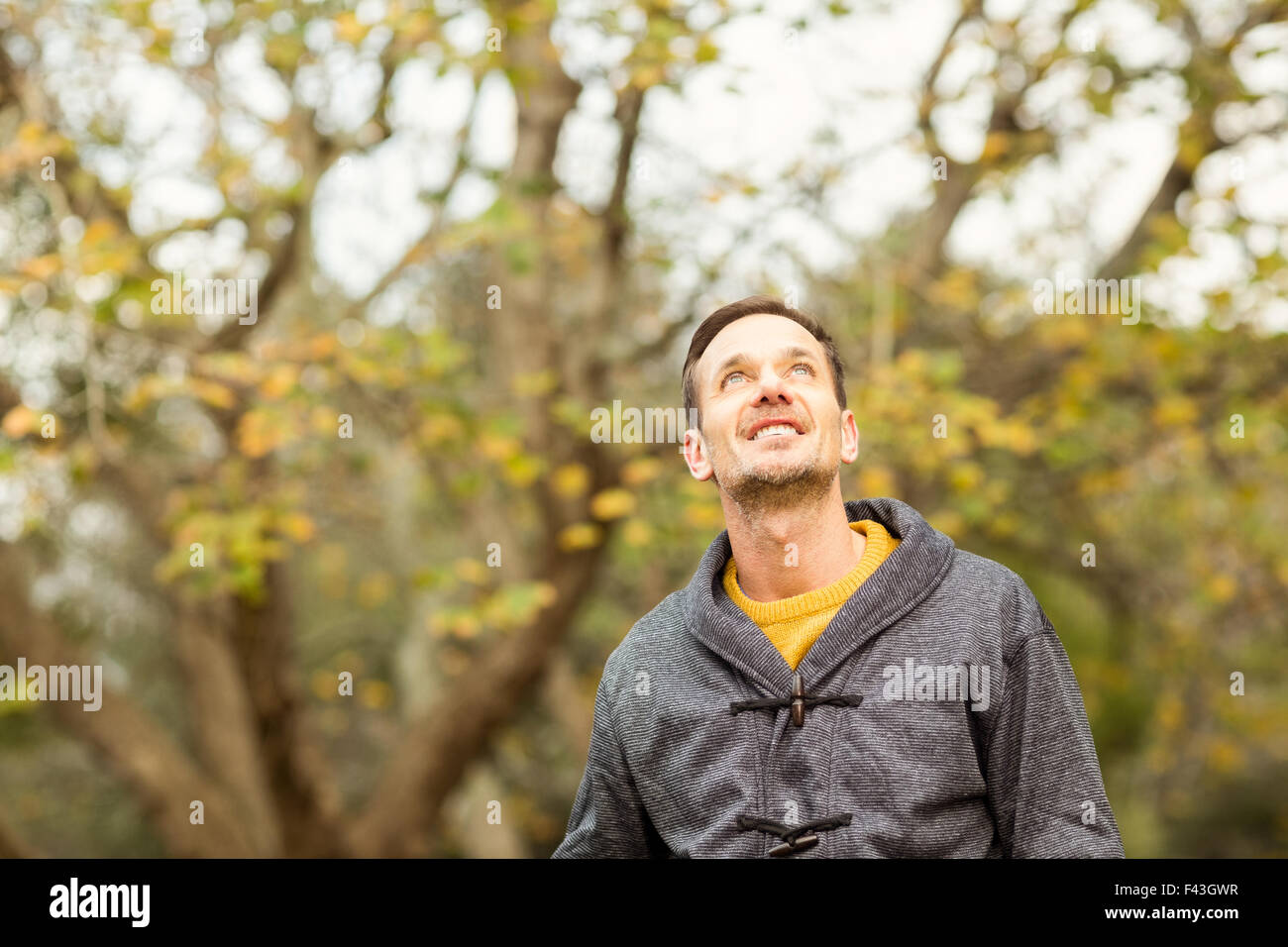 Young handsome man hi-res stock photography and images - Alamy