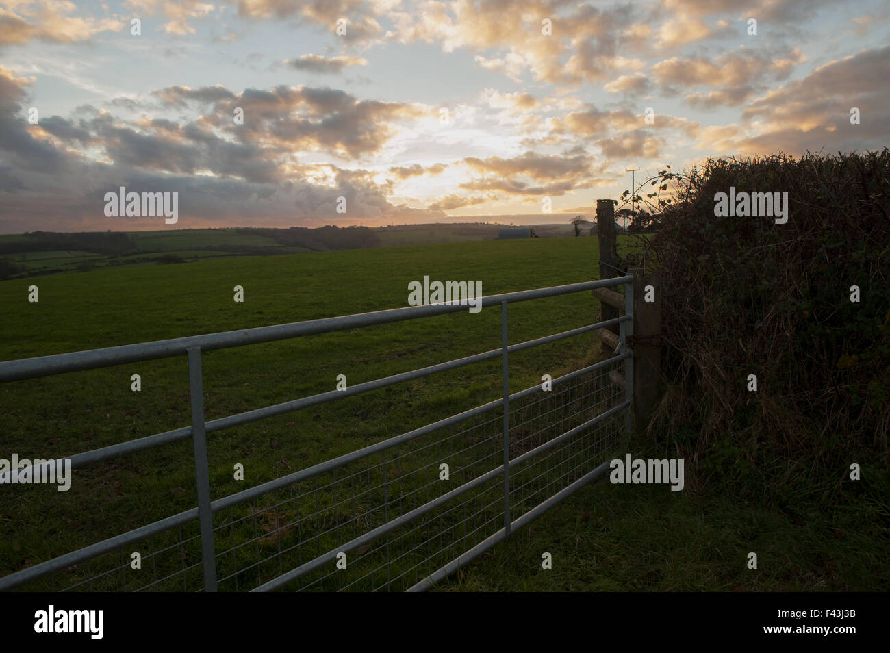 Closed gate by a field in countryside, Carmarthenshire, Wales, UK Stock Photo