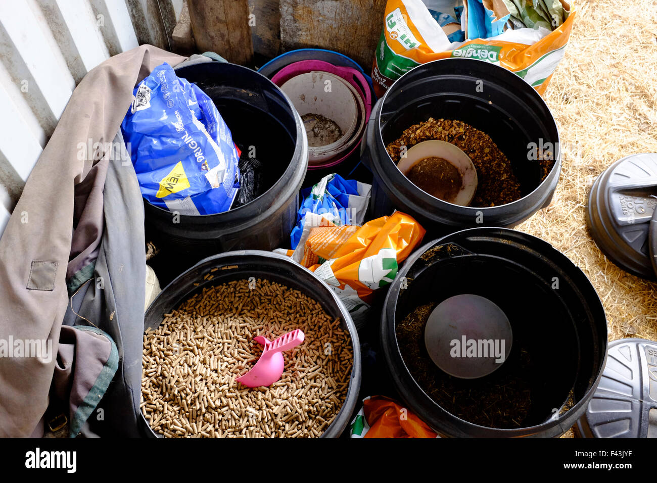 selection of horse food in seperate bins Mole Valley cooling mix