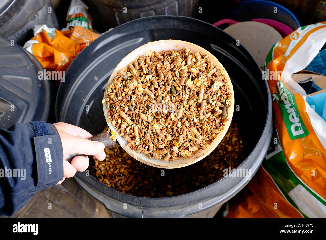 selection of horse food in seperate bins Mole Valley cooling mix