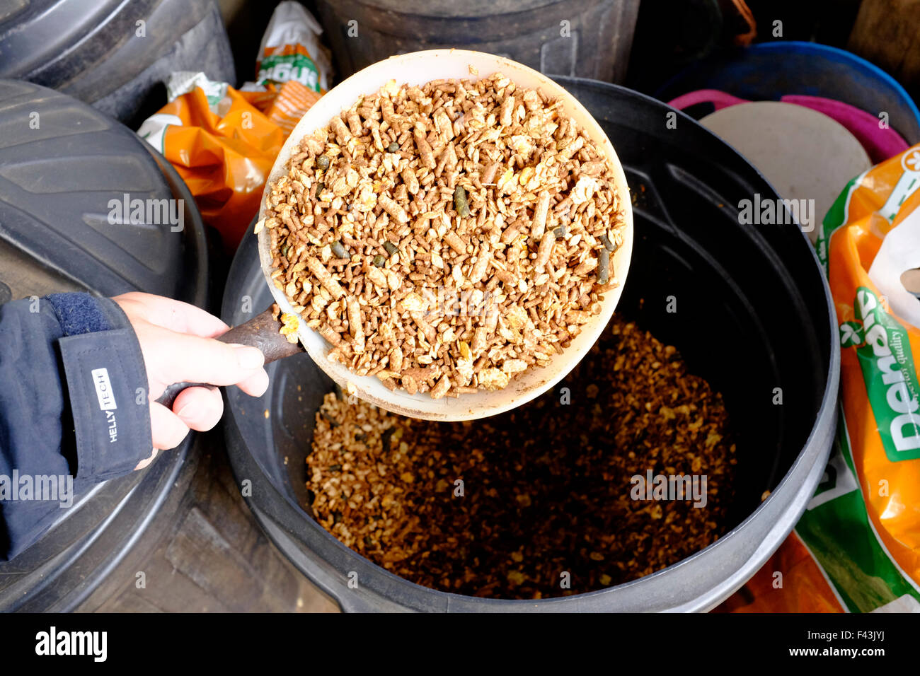 selection of horse food in seperate bins Mole Valley cooling mix