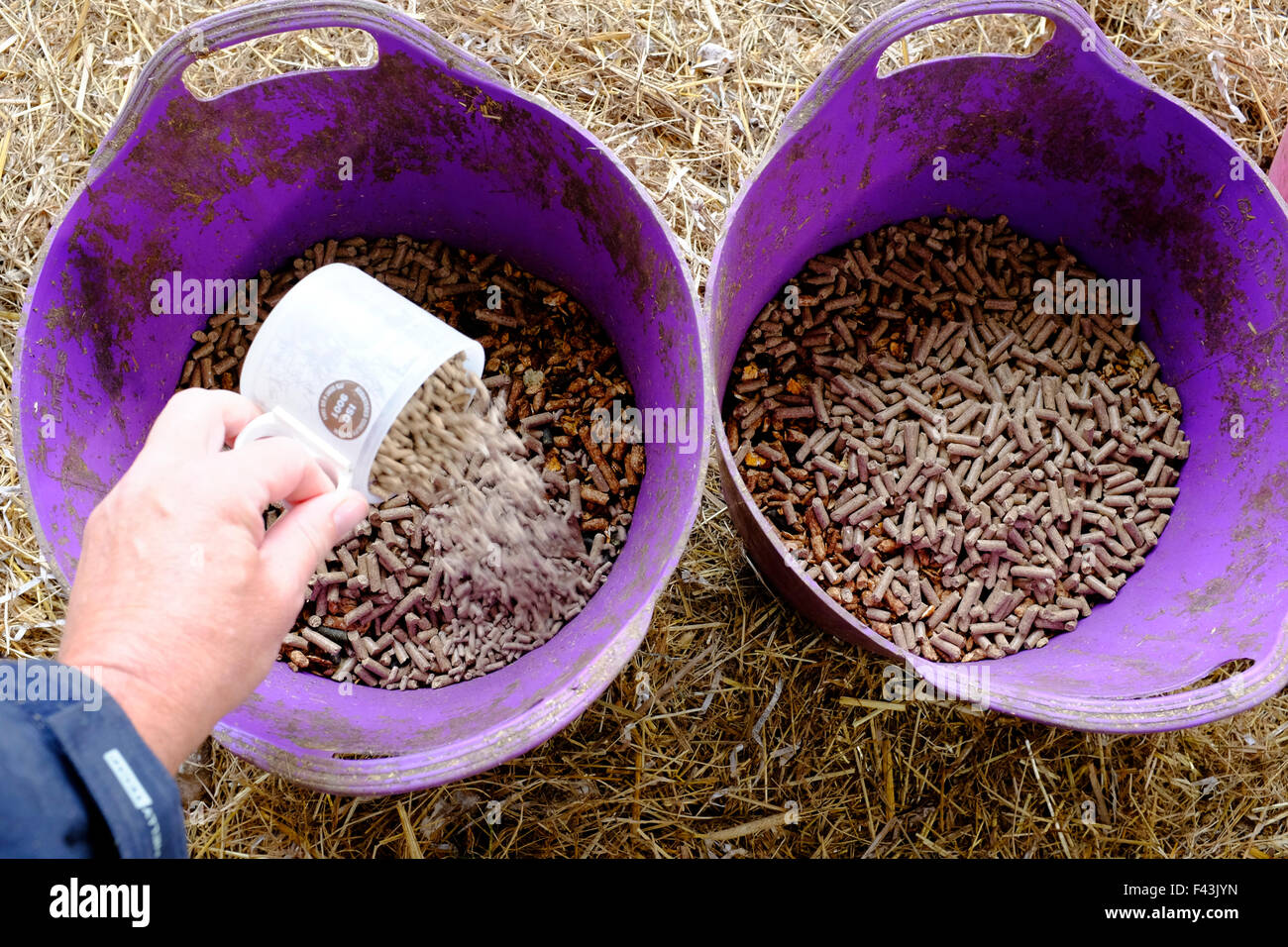 selection of horse food in seperate bins Mole Valley cooling mix