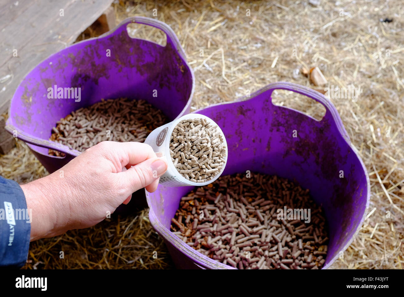selection of horse food in seperate bins Mole Valley cooling mix