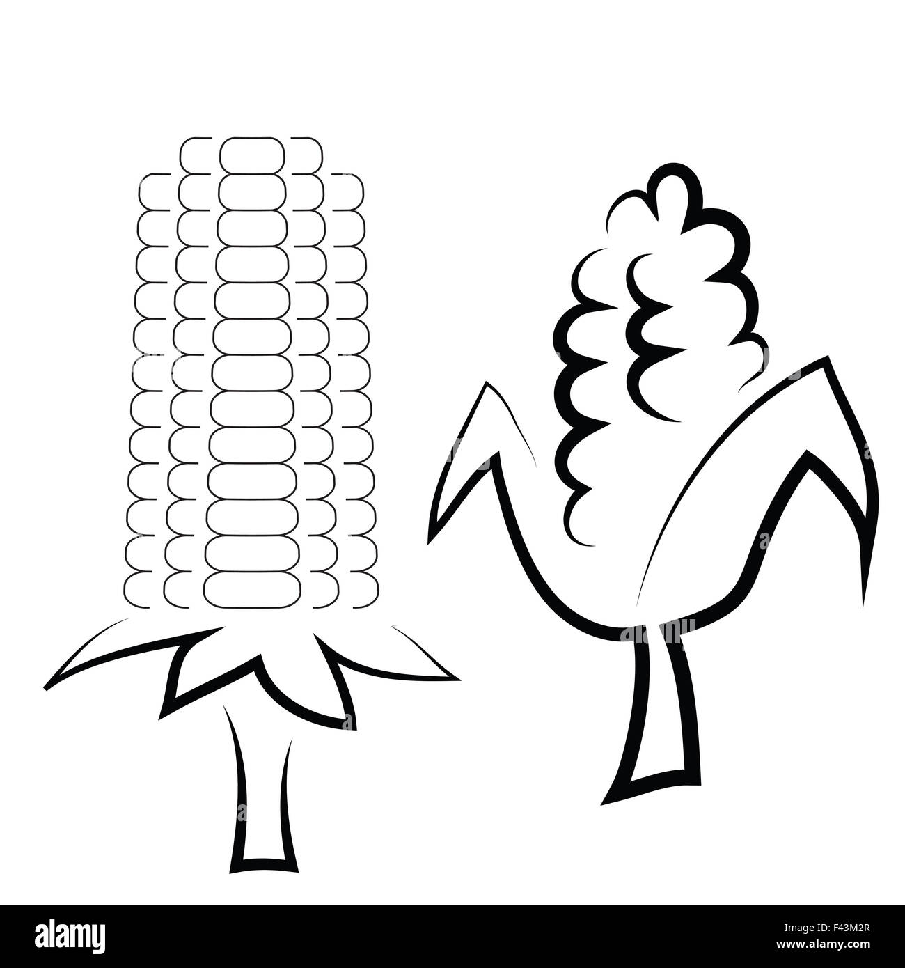 Native corn maize Black and White Stock Photos & Images - Alamy