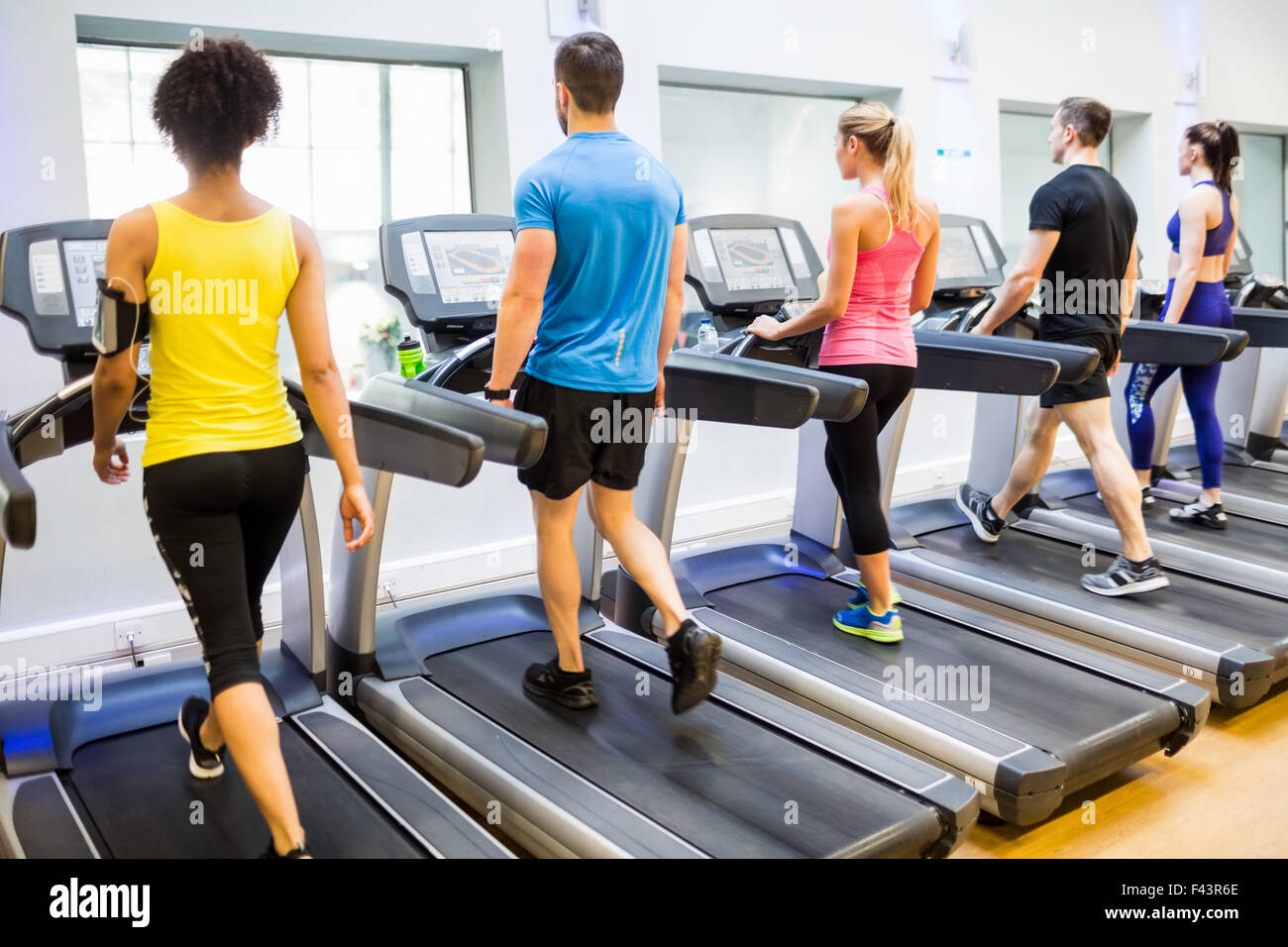Fit people walking on treadmills Stock Photo Alamy