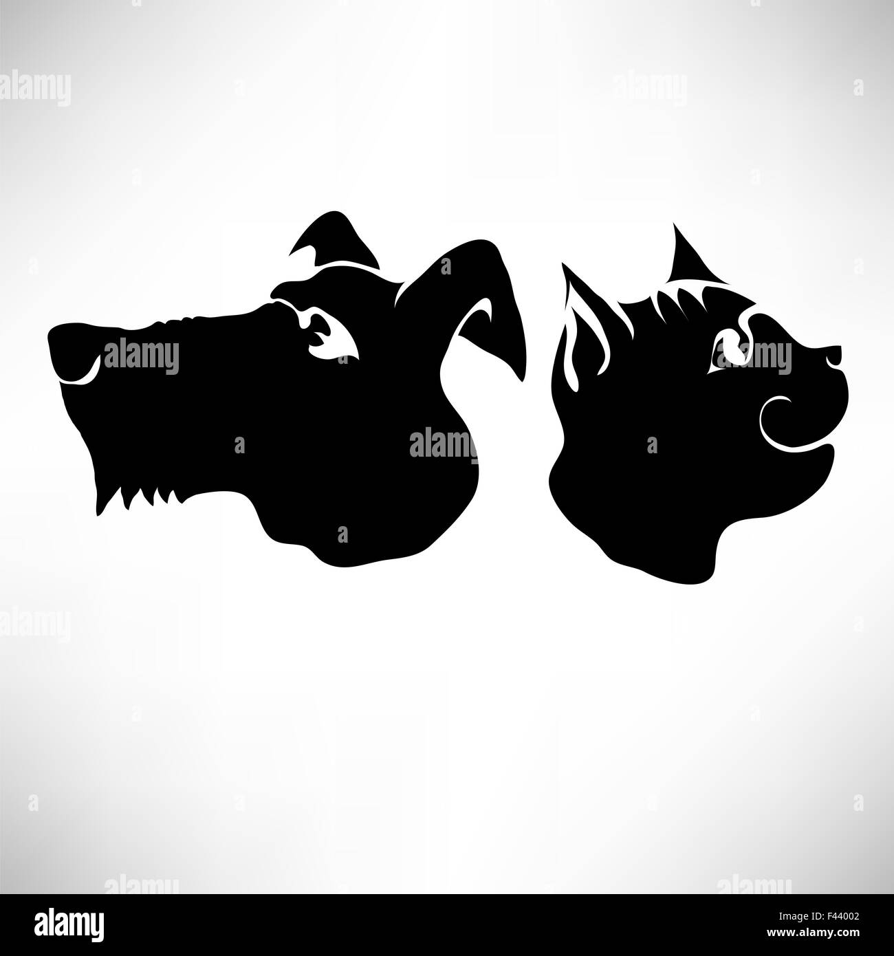 Cat and Dogs Heads Stock Photo Alamy