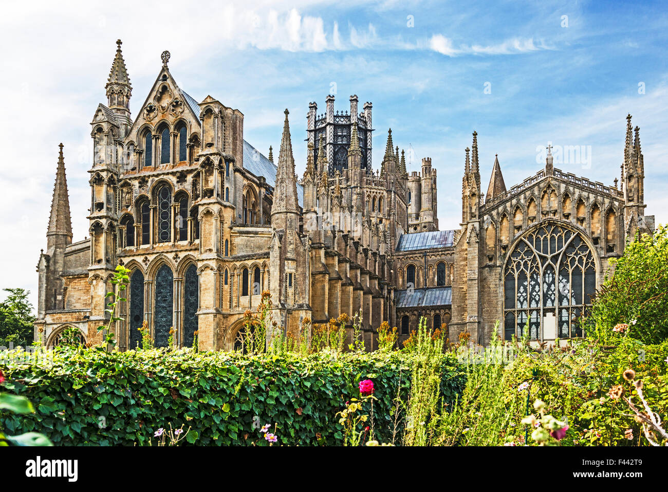 Ely Cathedral from the garden Stock Photo - Alamy