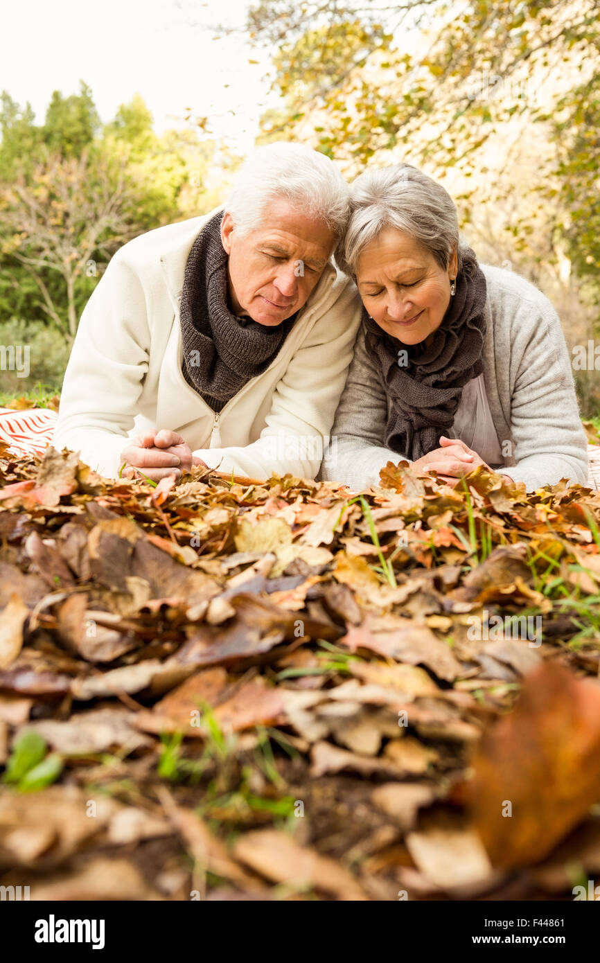 Senior couple in the park Stock Photo - Alamy