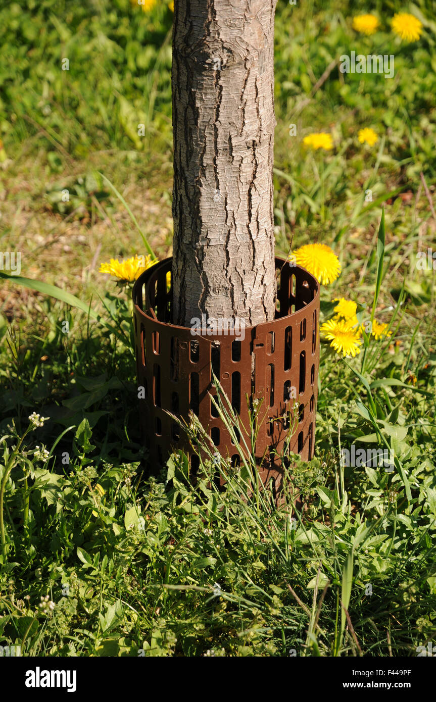Bark-protect Stock Photo