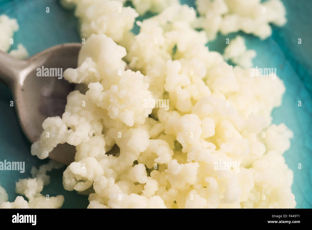 Good Gut Tribe - Organic Milk Kefir Grains (10g