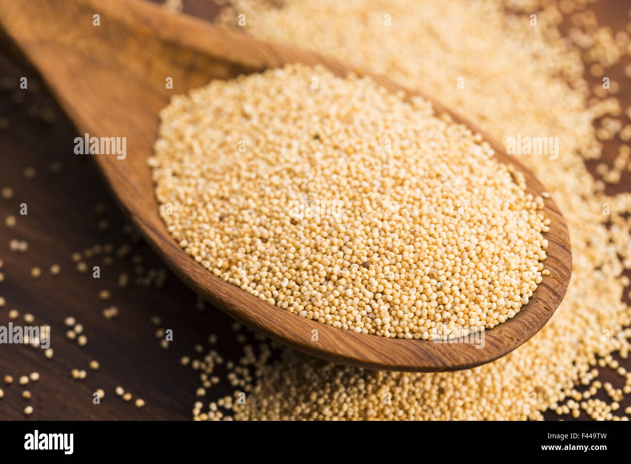 White poppy seeds Stock Photo Alamy