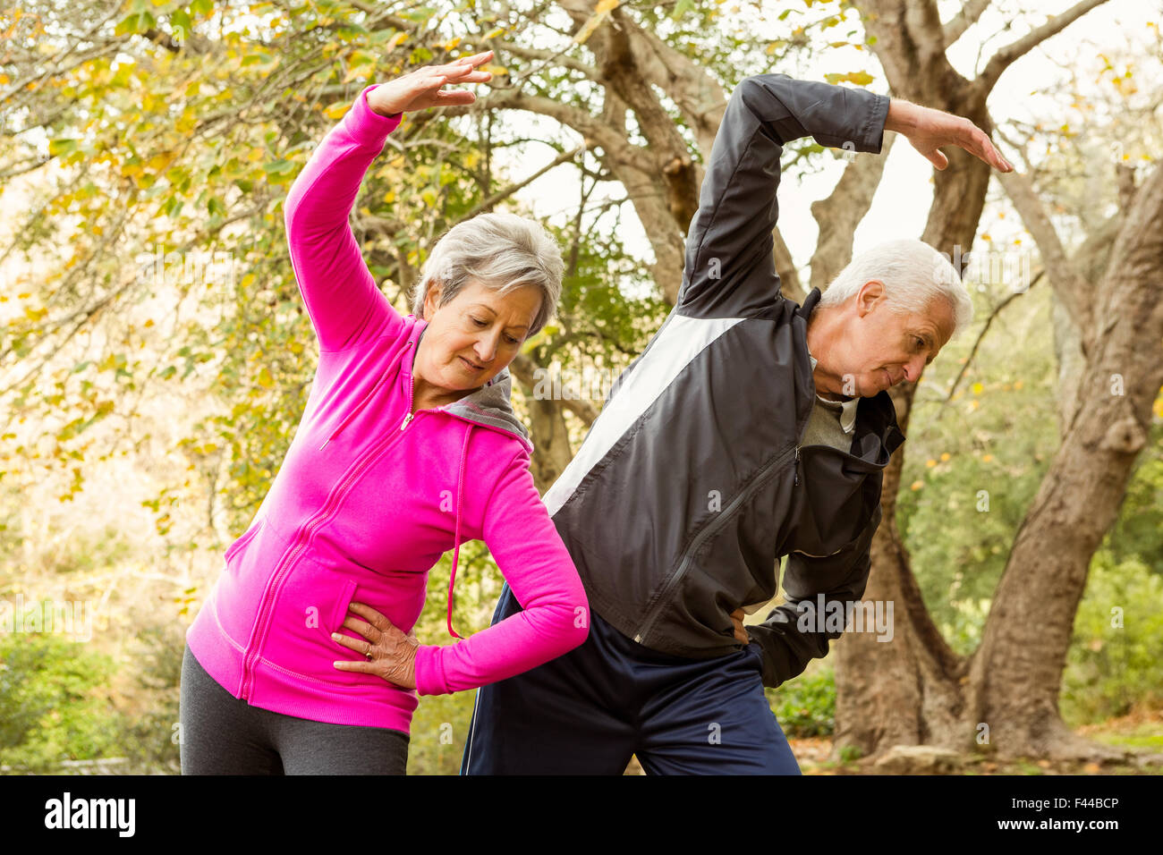 Senior couple in the park Stock Photo - Alamy