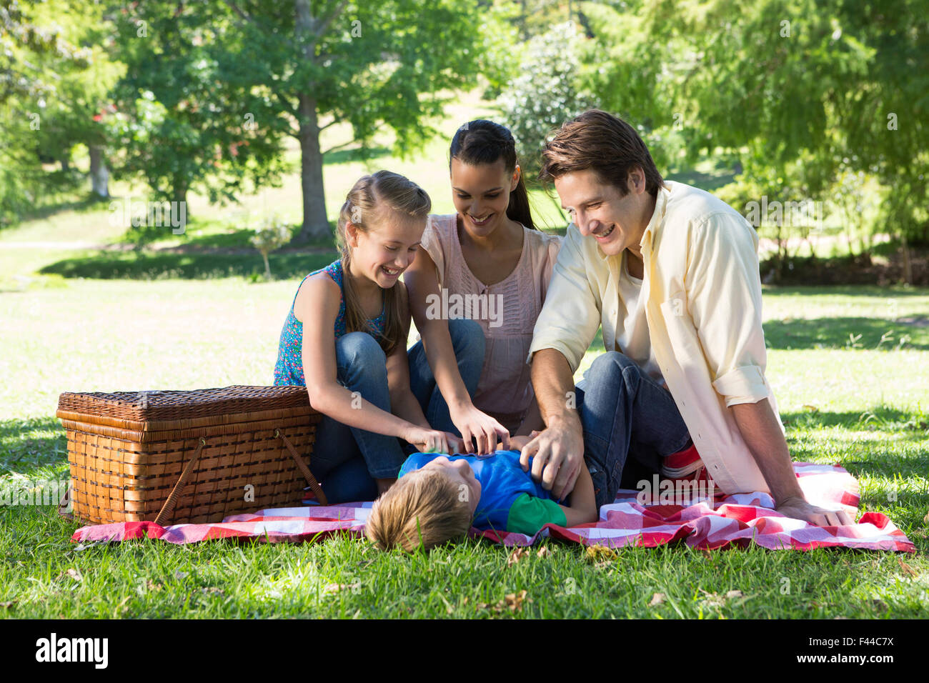 Happy family on a picnic in the park Stock Photo - Alamy