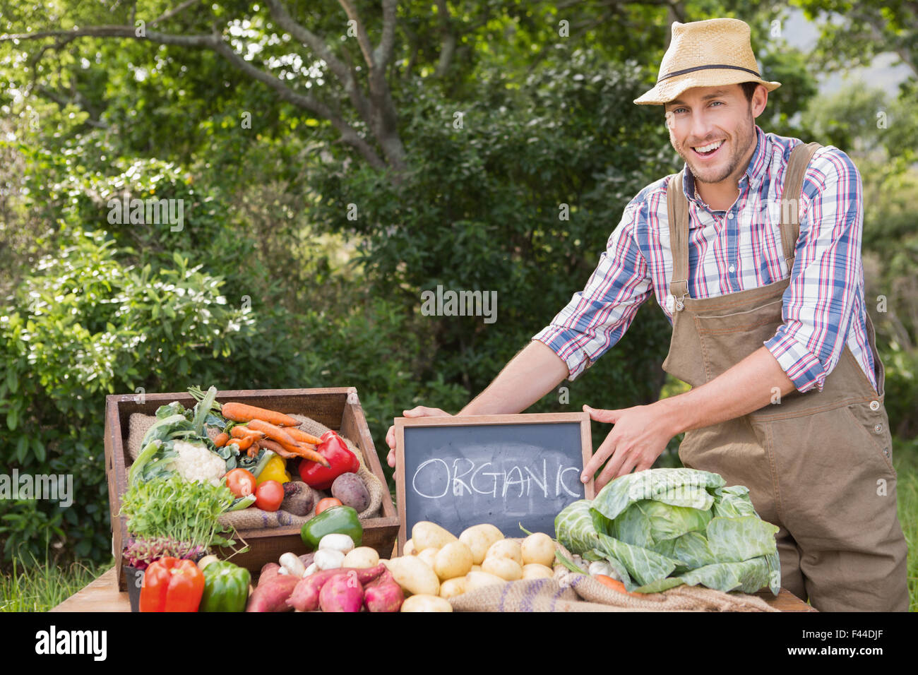 Farmer selling organic veg at market Stock Photo - Alamy