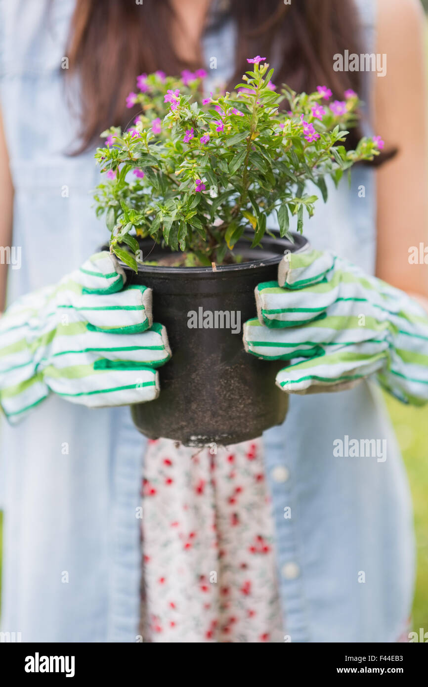 Happy woman holding potted flowers Stock Photo - Alamy