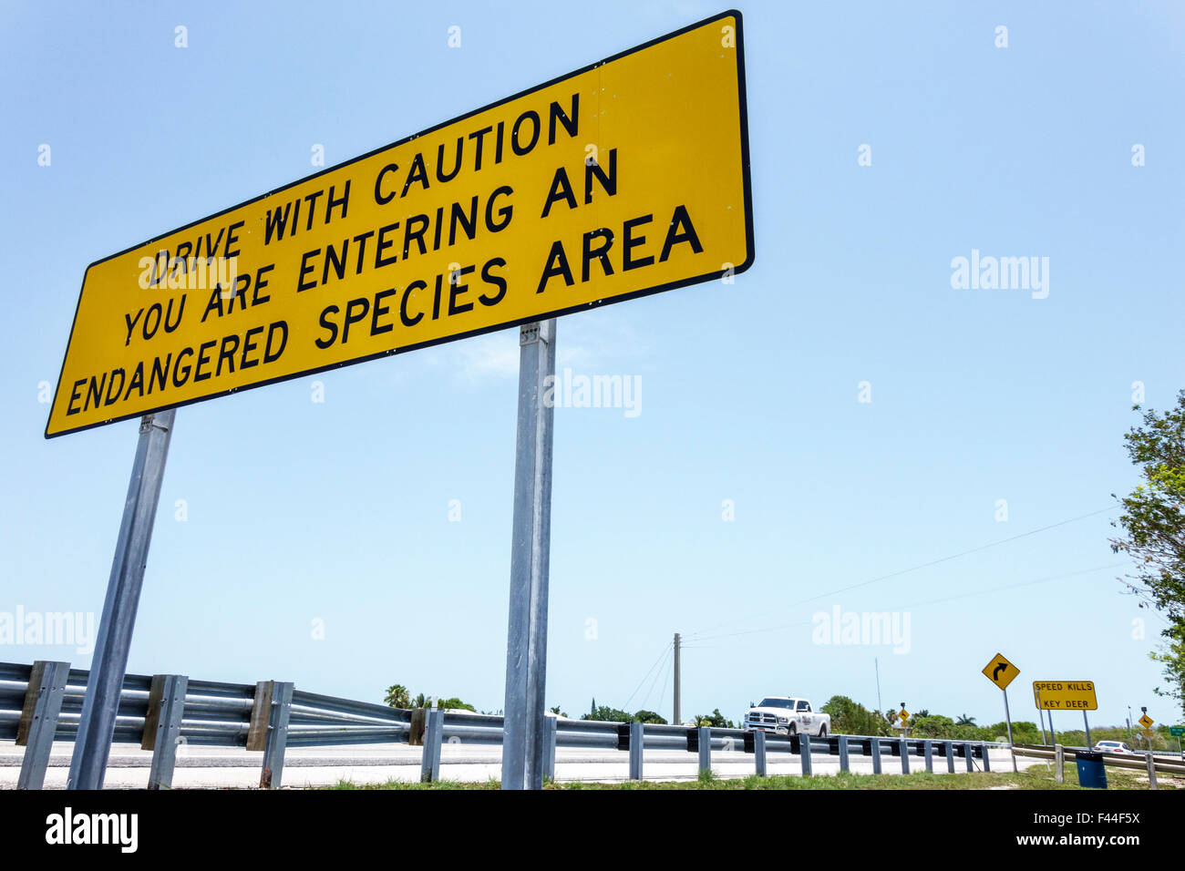 Florida Keys,Big Pine Key,key deer,endangered species,warning road sign,drive with caution,FL150510010 Stock Photo