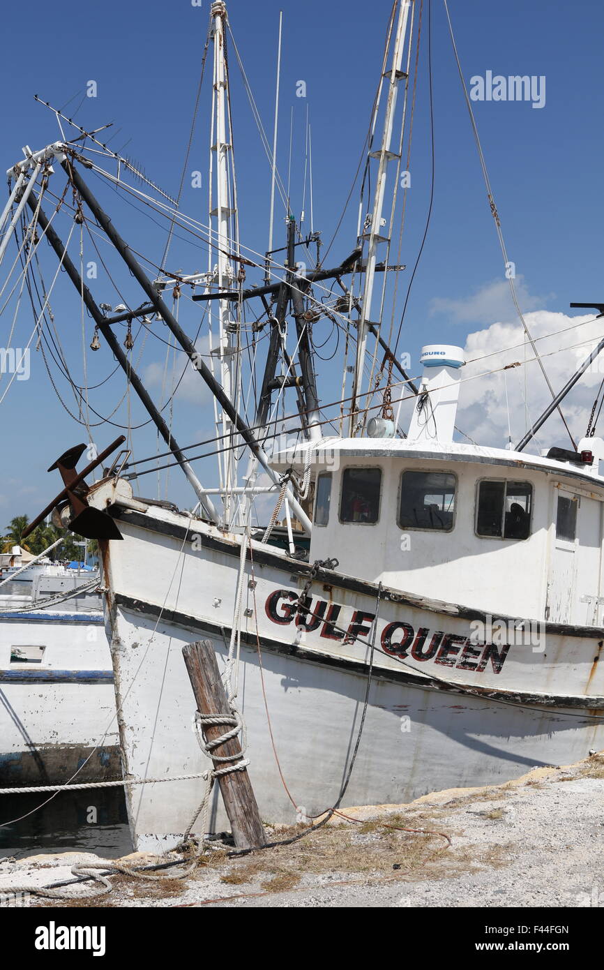Remnants of the once large and famous Key West shrimp boat fleet