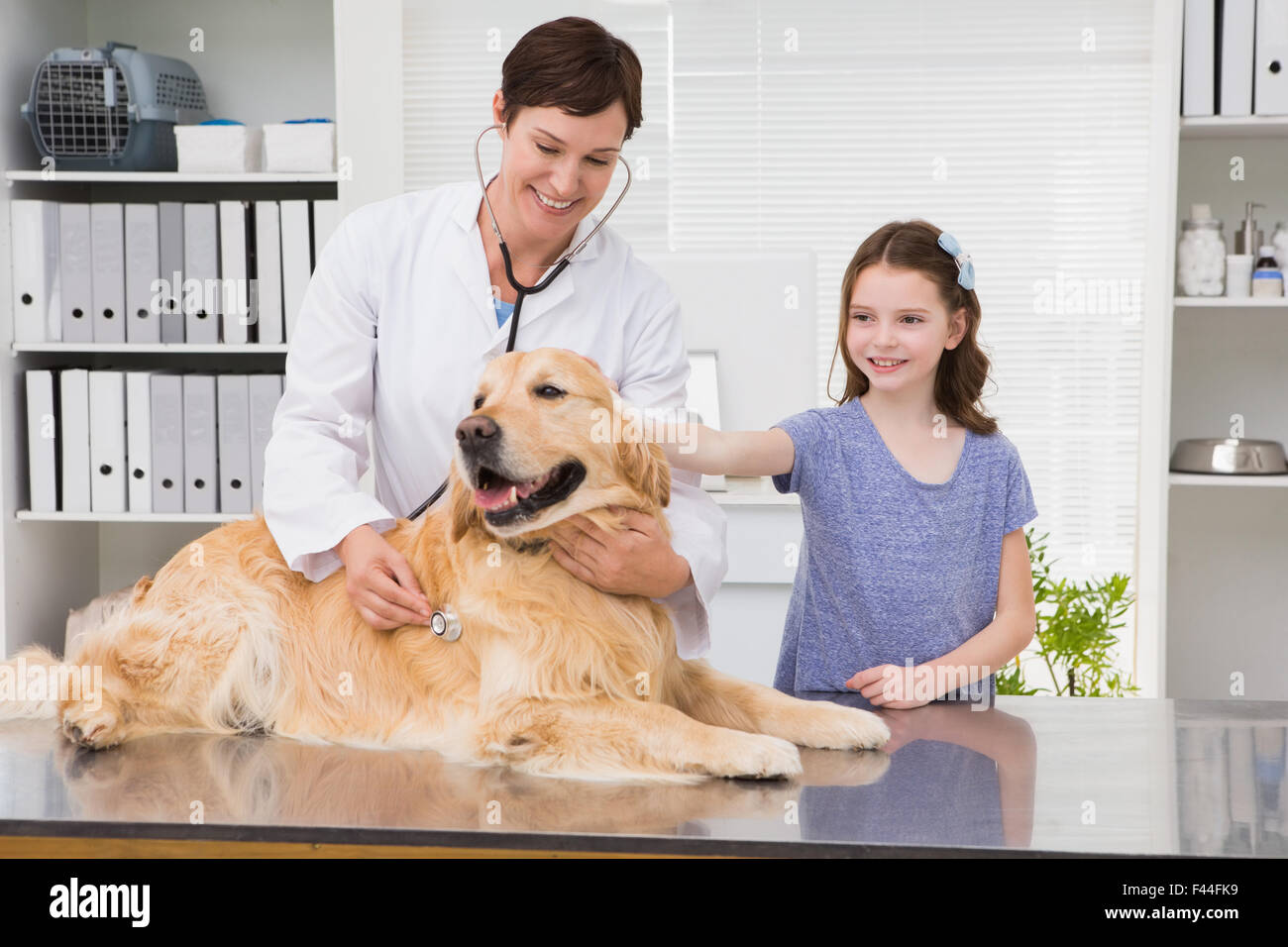Smiling vet examining a dog with its owner Stock Photo - Alamy