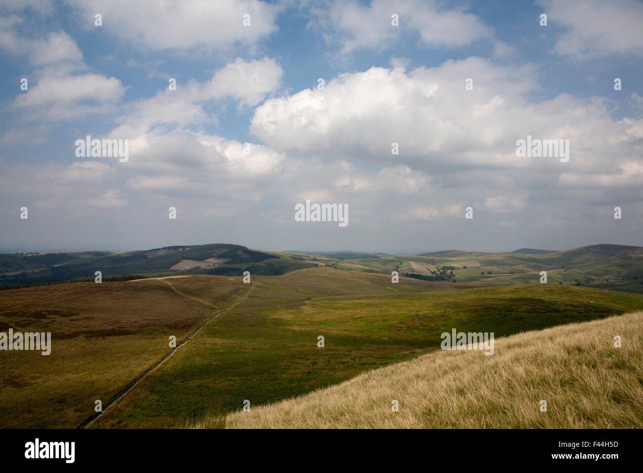 Shining Tor from Shutlingsloe and Wildboarclough  Macclesfield Cheshire England Stock Photo