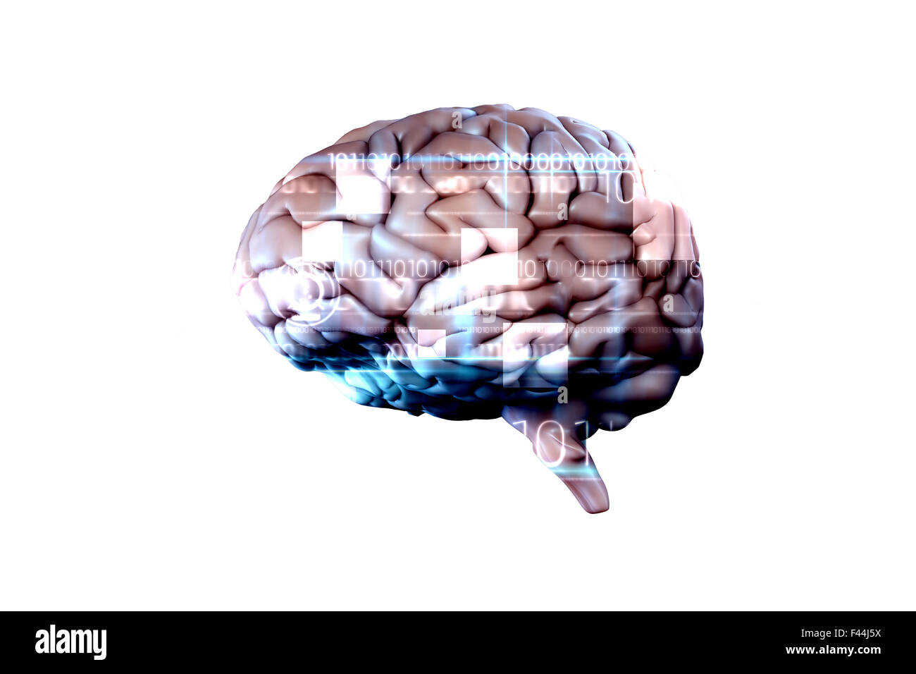 Brain image binary code hi-res stock photography and images - Alamy