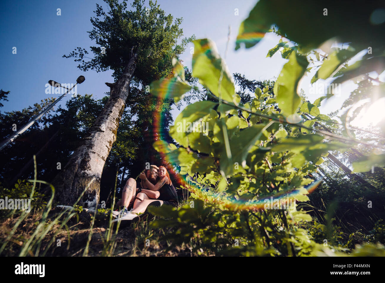 beautiful couple sitting in a forest near the tree Stock Photo - Alamy