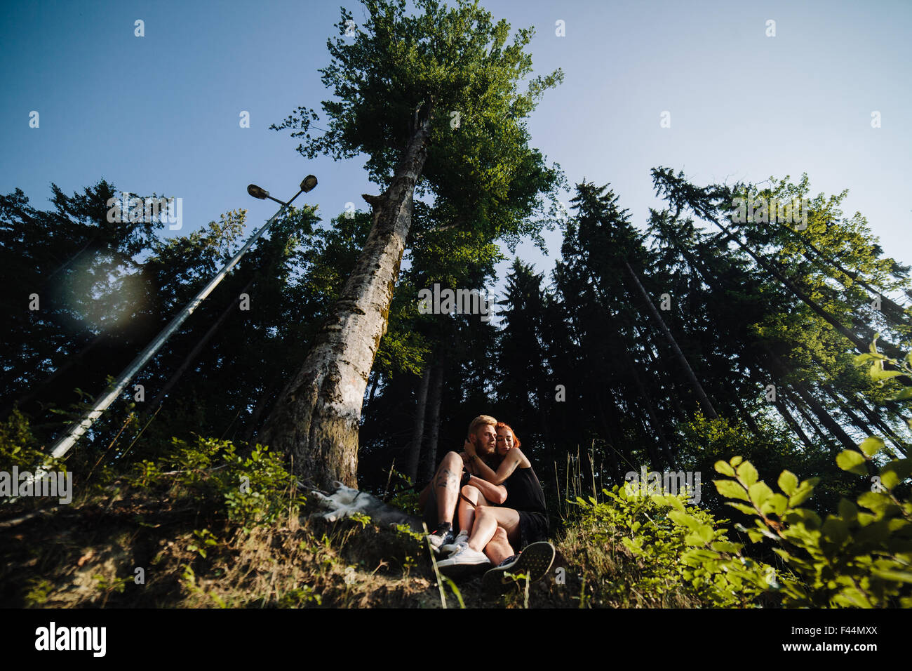 beautiful couple sitting in a forest near the tree Stock Photo - Alamy