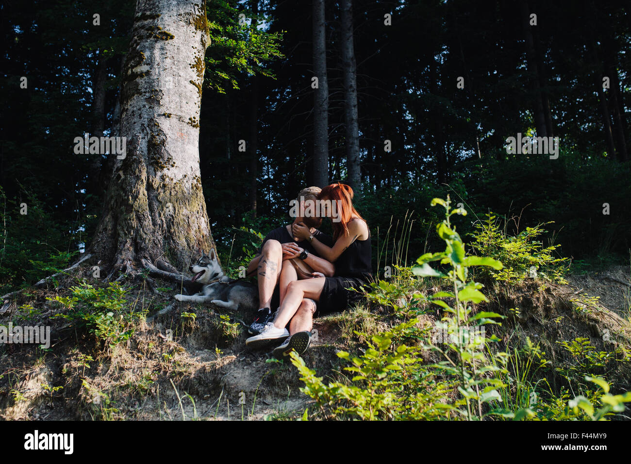 beautiful couple sitting in a forest near the tree Stock Photo - Alamy
