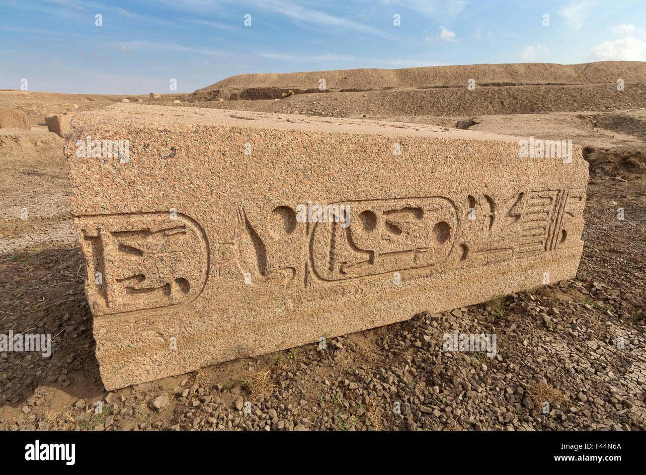 The site of Tanis, San elHagar in the north eastern Nile Delta of