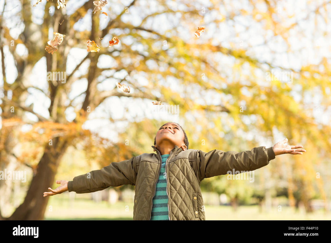 leaves drop onto a little boy with outstretched arms Stock Photo