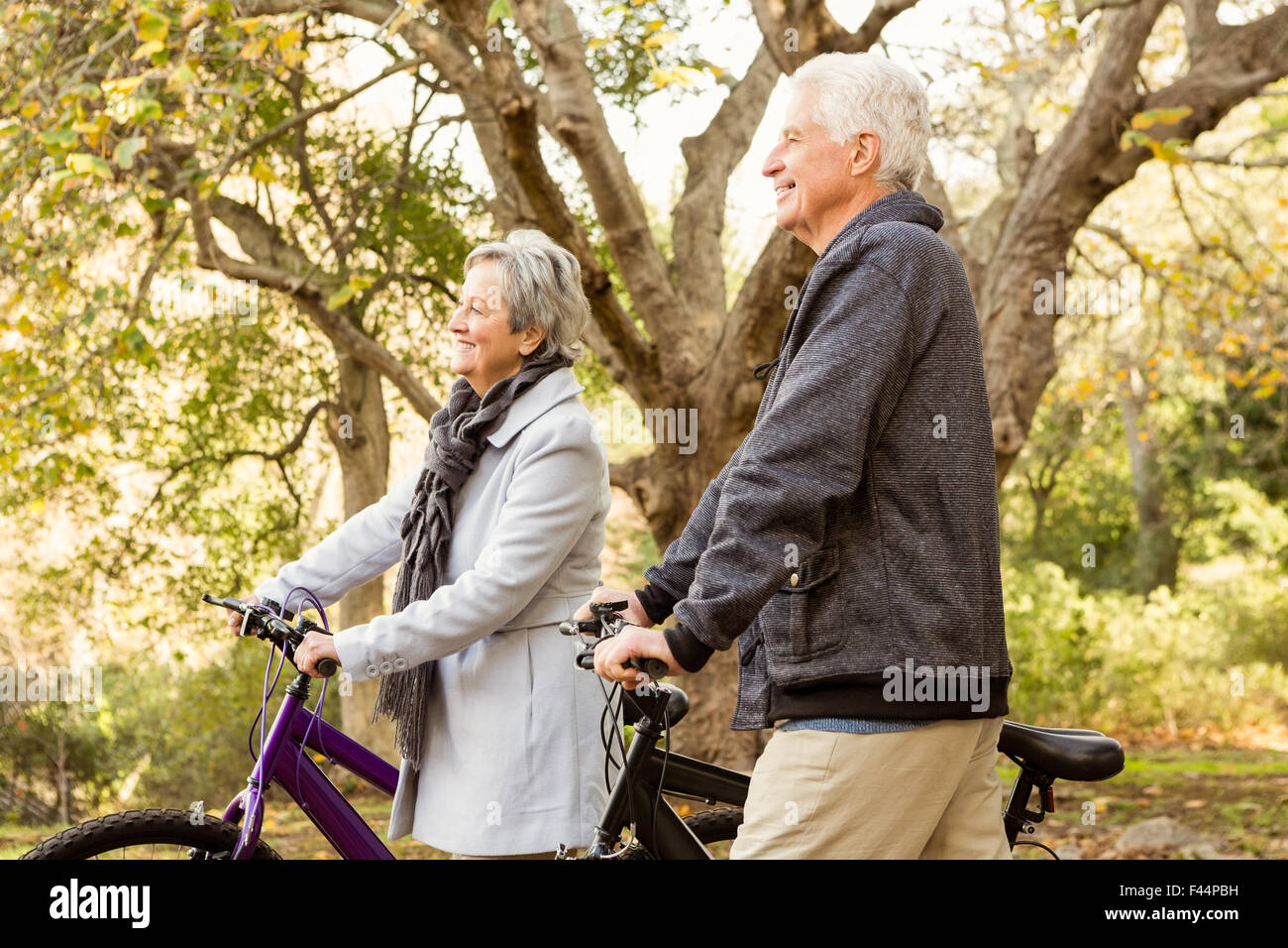 Senior couple in the park Stock Photo - Alamy