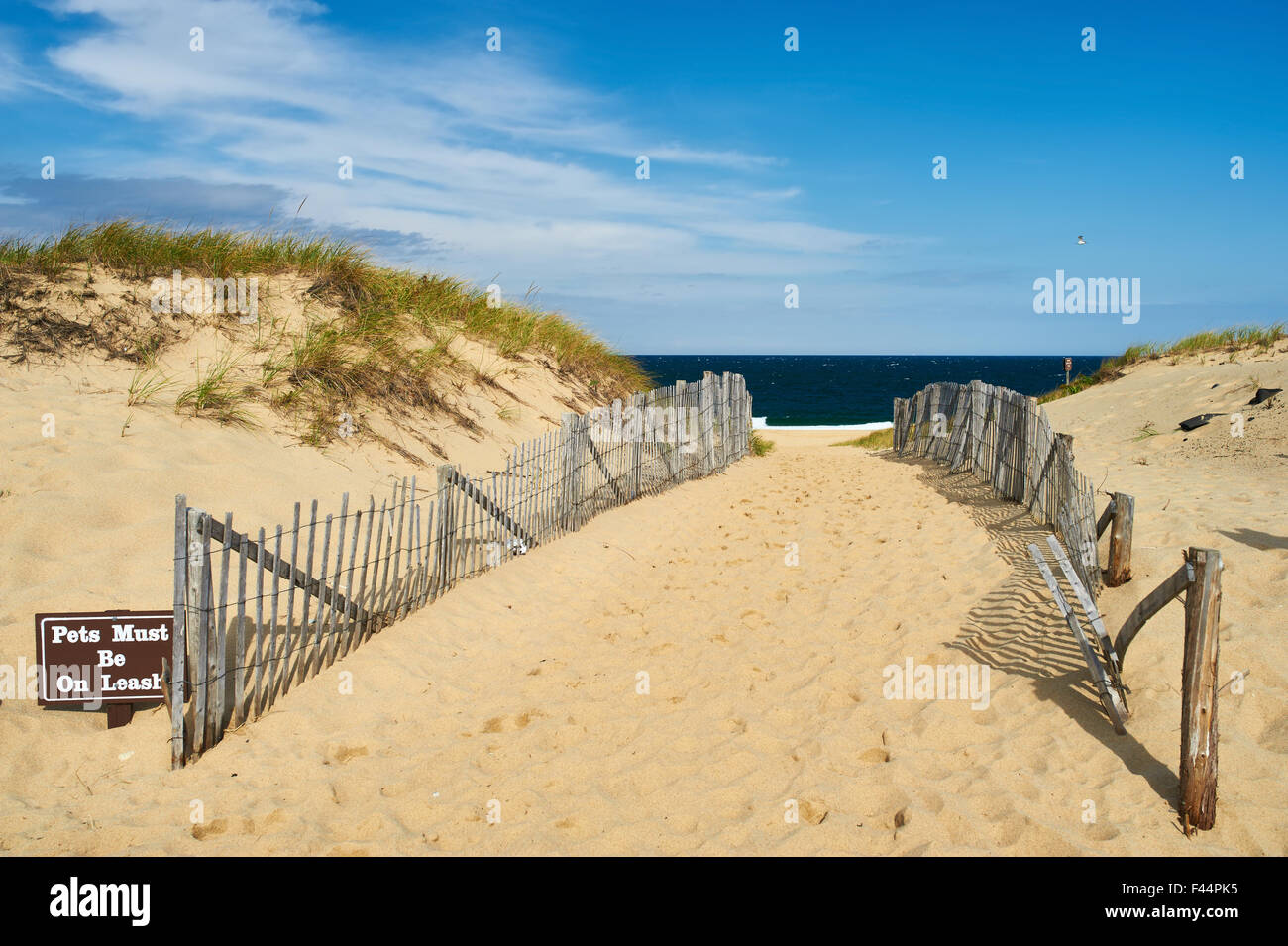 Path way to the beach at Cape Cod Stock Photo - Alamy