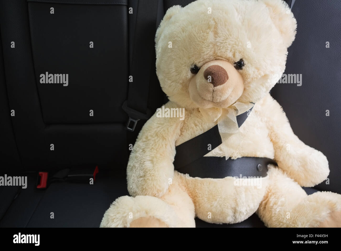 Teddy bear strapped in with seat belt Stock Photo Alamy