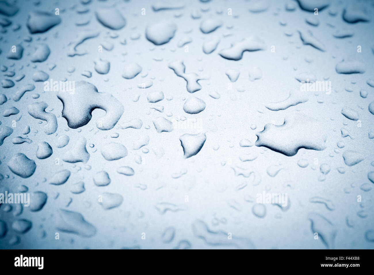 drops of rain Stock Photo