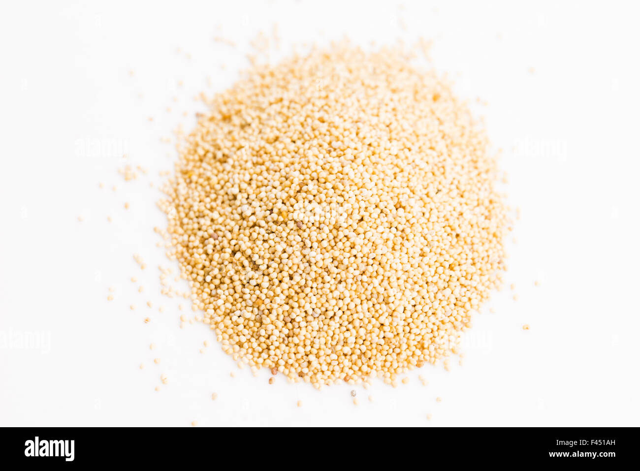 White poppy seeds Stock Photo Alamy