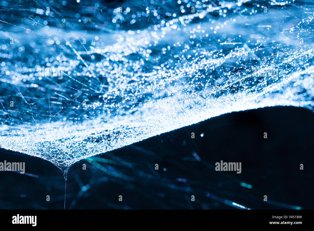 Spider web shining with light reflecting on droplets Stock Photo - Alamy