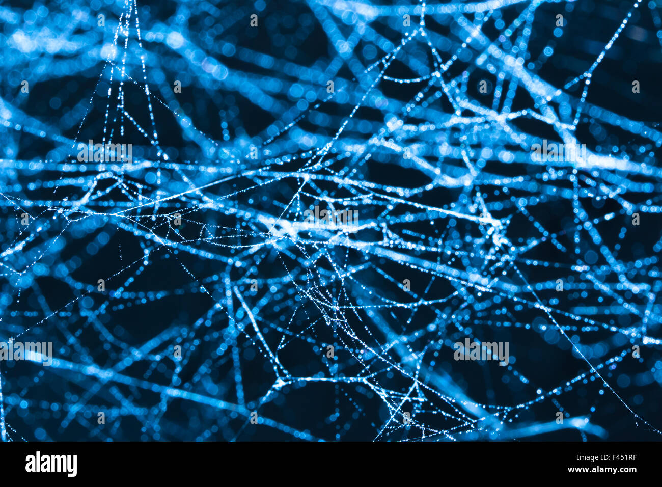 Spider web shining with light reflecting on droplets Stock Photo - Alamy