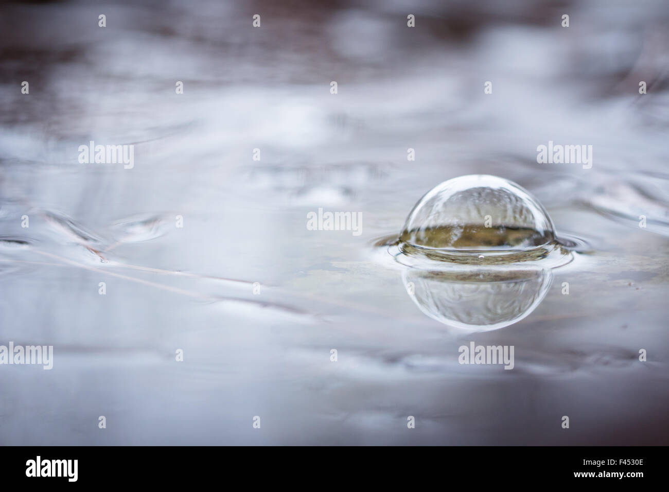 Bubbles formed by rain Stock Photo Alamy