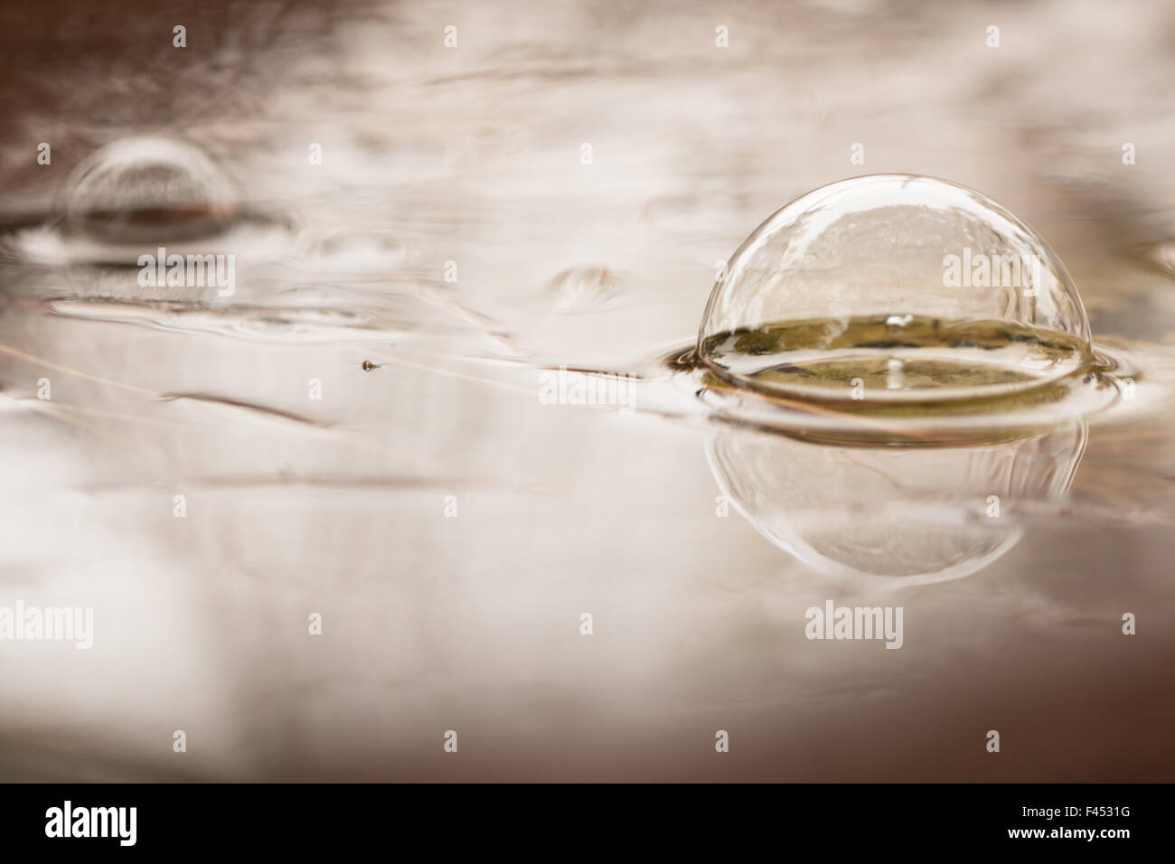 Bubbles formed by rain Stock Photo Alamy