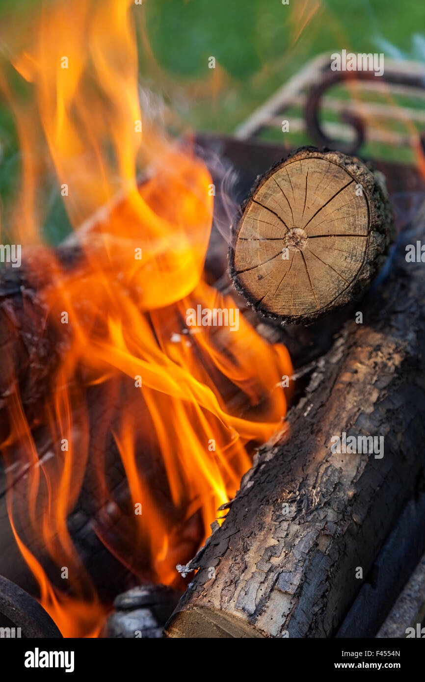 burning firewood in nature. barbecue outdoors Stock Photo Alamy