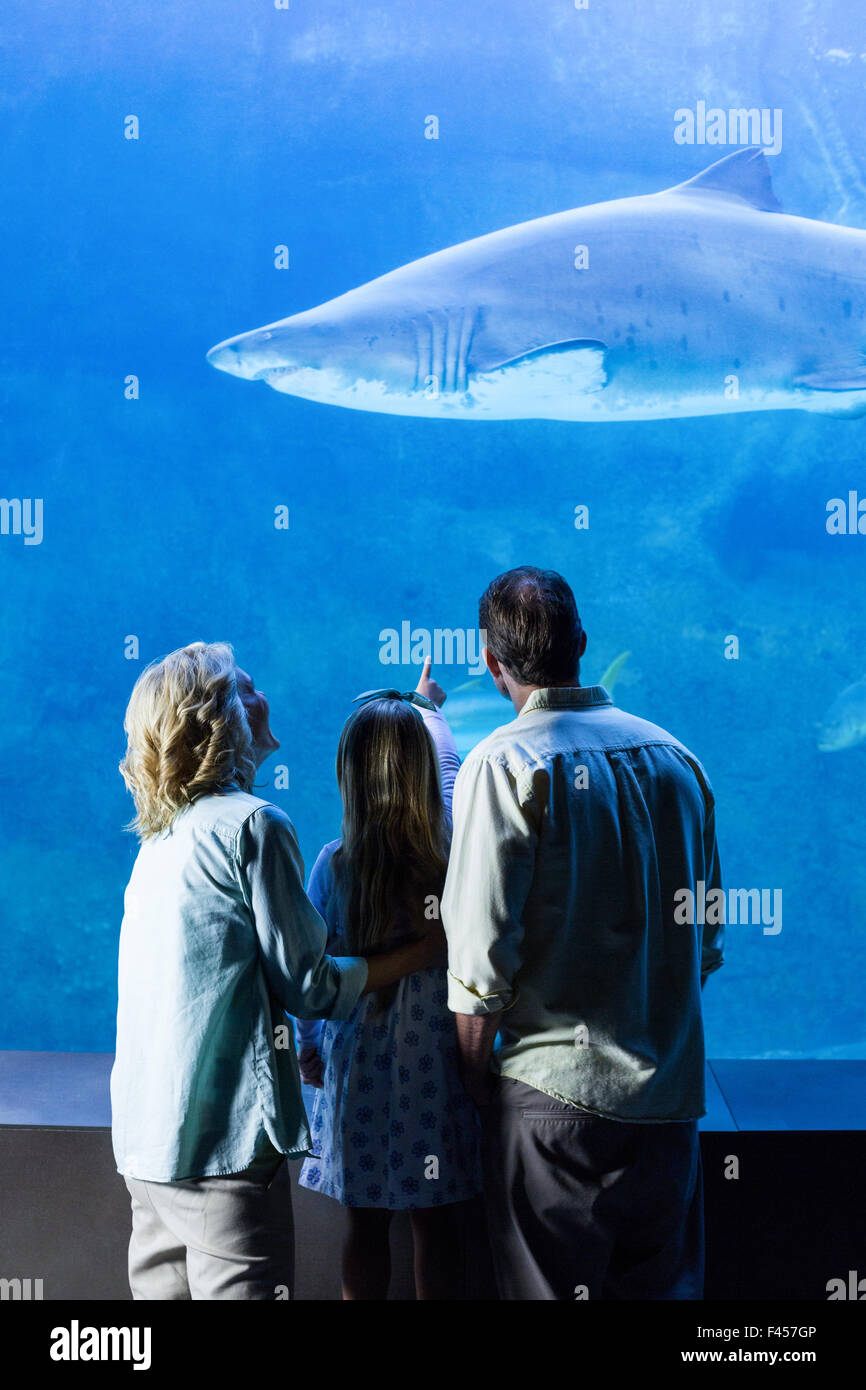 Tank rear view hi-res stock photography and images - Alamy