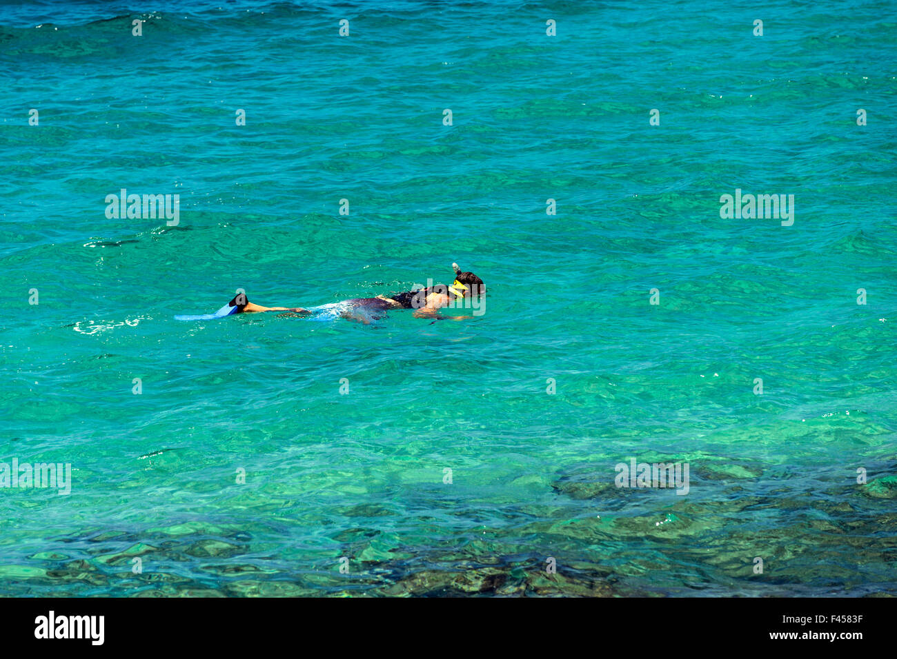Swimmers snorkeling, Hapuna Beach, Kohala Coast, Hawai'i, USA Stock