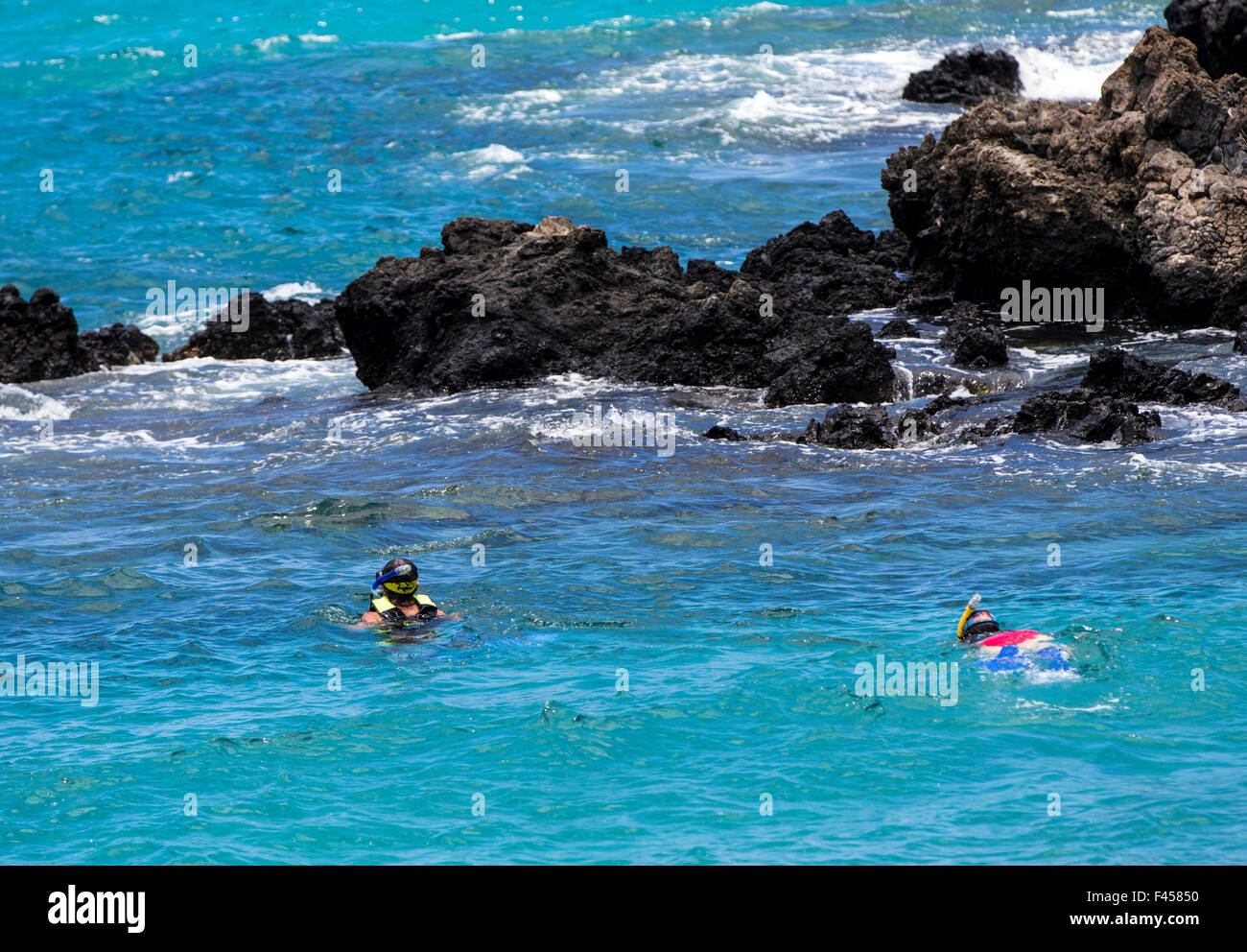 Swimmers snorkeling, Hapuna Beach, Kohala Coast, Hawai'i, USA Stock
