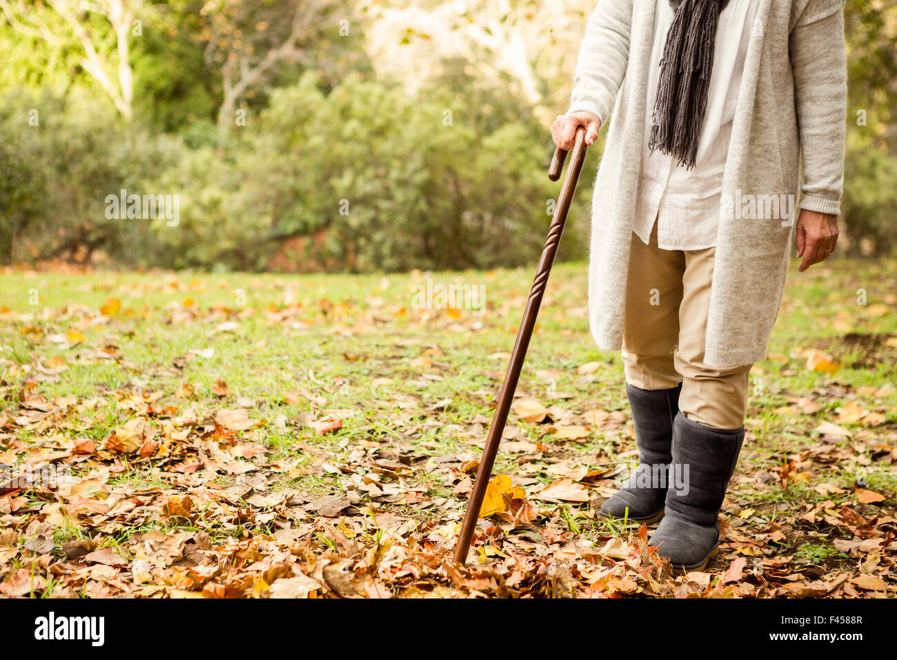 Senior woman walking stick park hi-res stock photography and images - Alamy