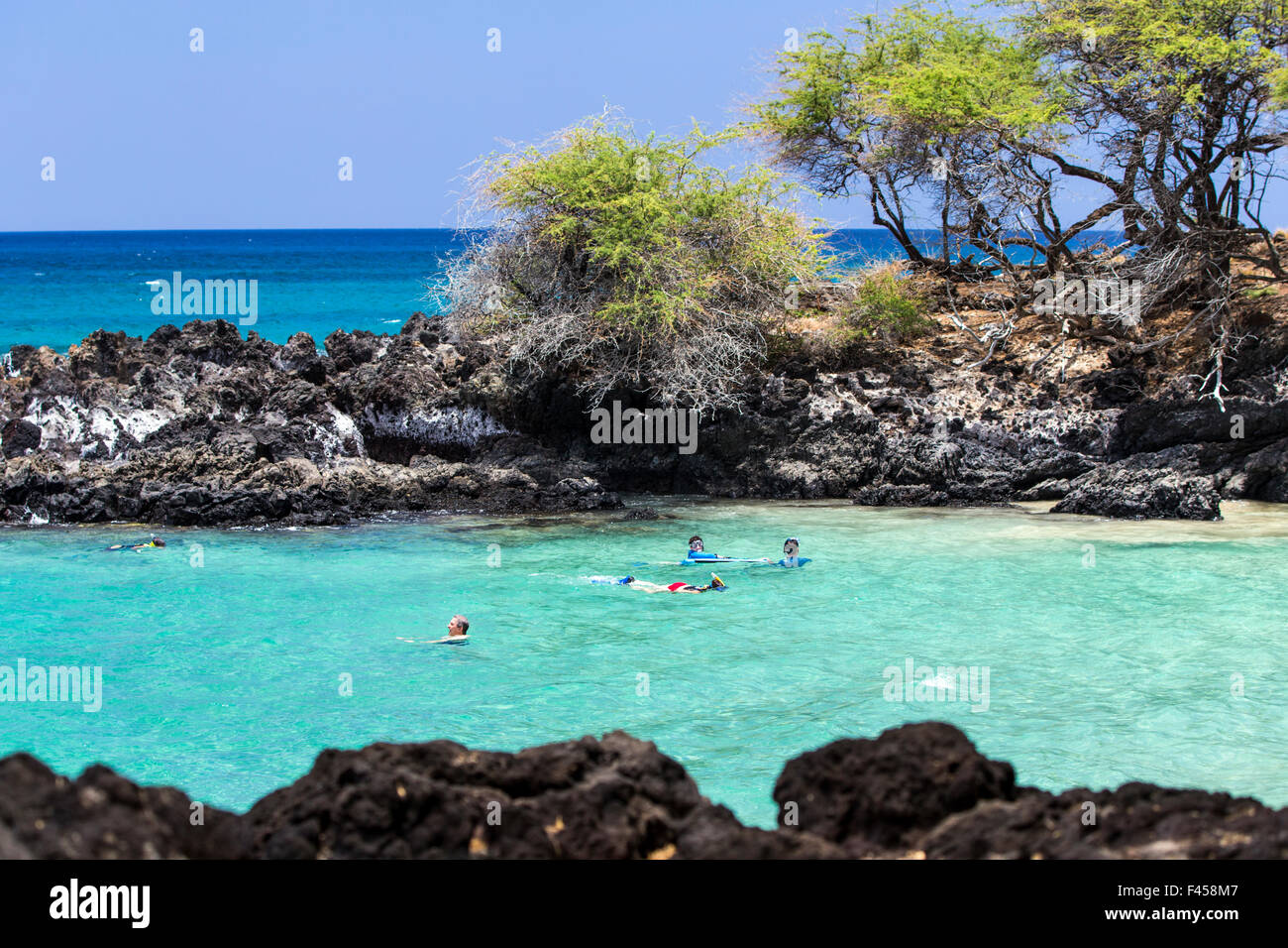 Swimmers snorkeling, Hapuna Beach, Kohala Coast, Hawai'i, USA Stock Photo