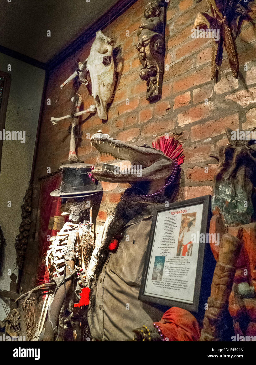 An alligator headed re-creation of the rougarou is exhinited at the Voodoo Museum in New Orleans. The rougarou is a legendary creature in French communities linked to European notions of the werewolf. Stock Photo
