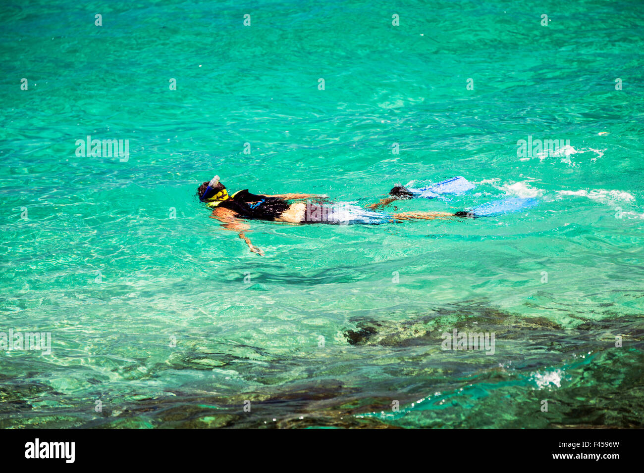 Swimmers snorkeling, Hapuna Beach, Kohala Coast, Hawai'i, USA Stock Photo