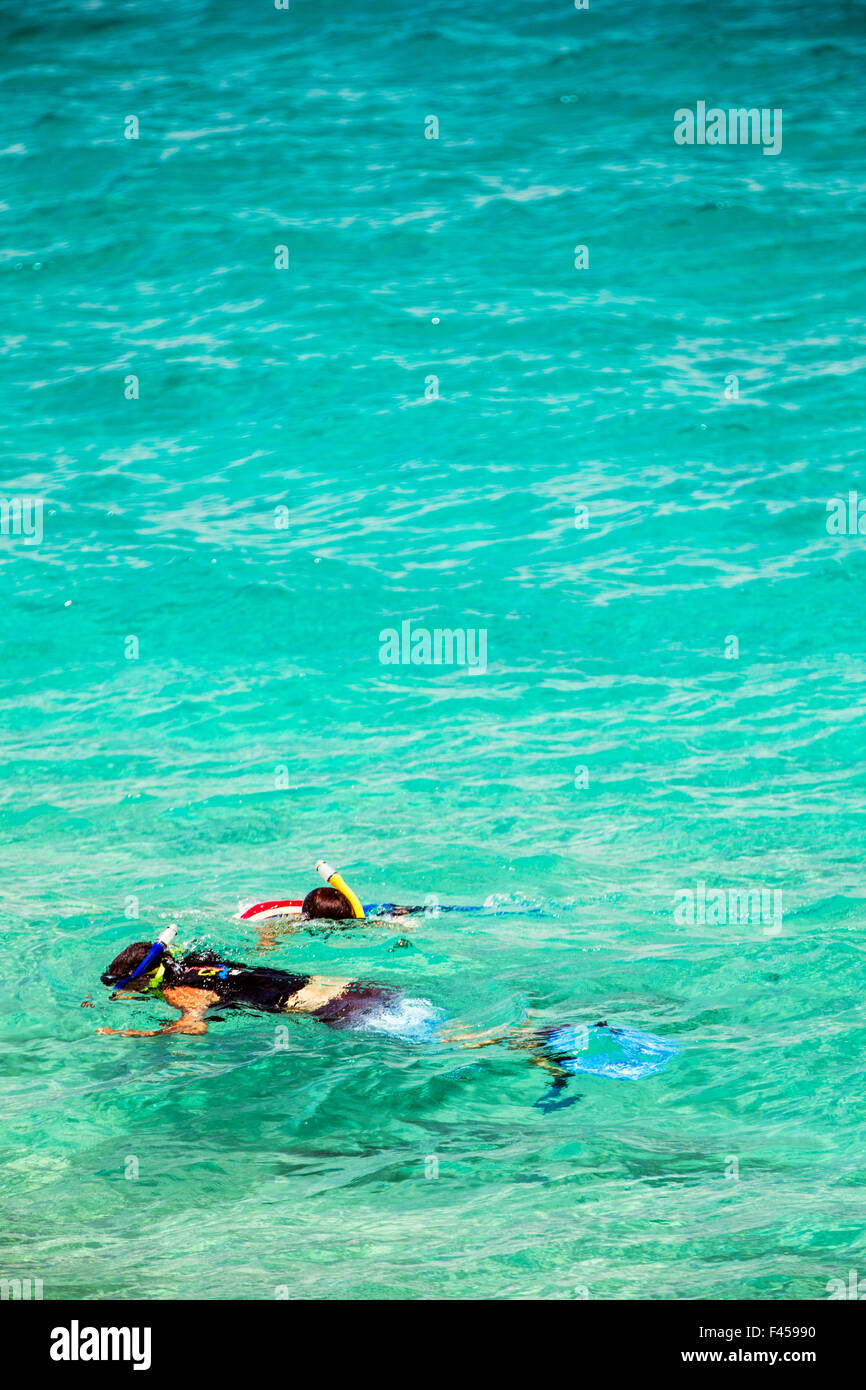 Swimmers snorkeling, Hapuna Beach, Kohala Coast, Hawai'i, USA Stock