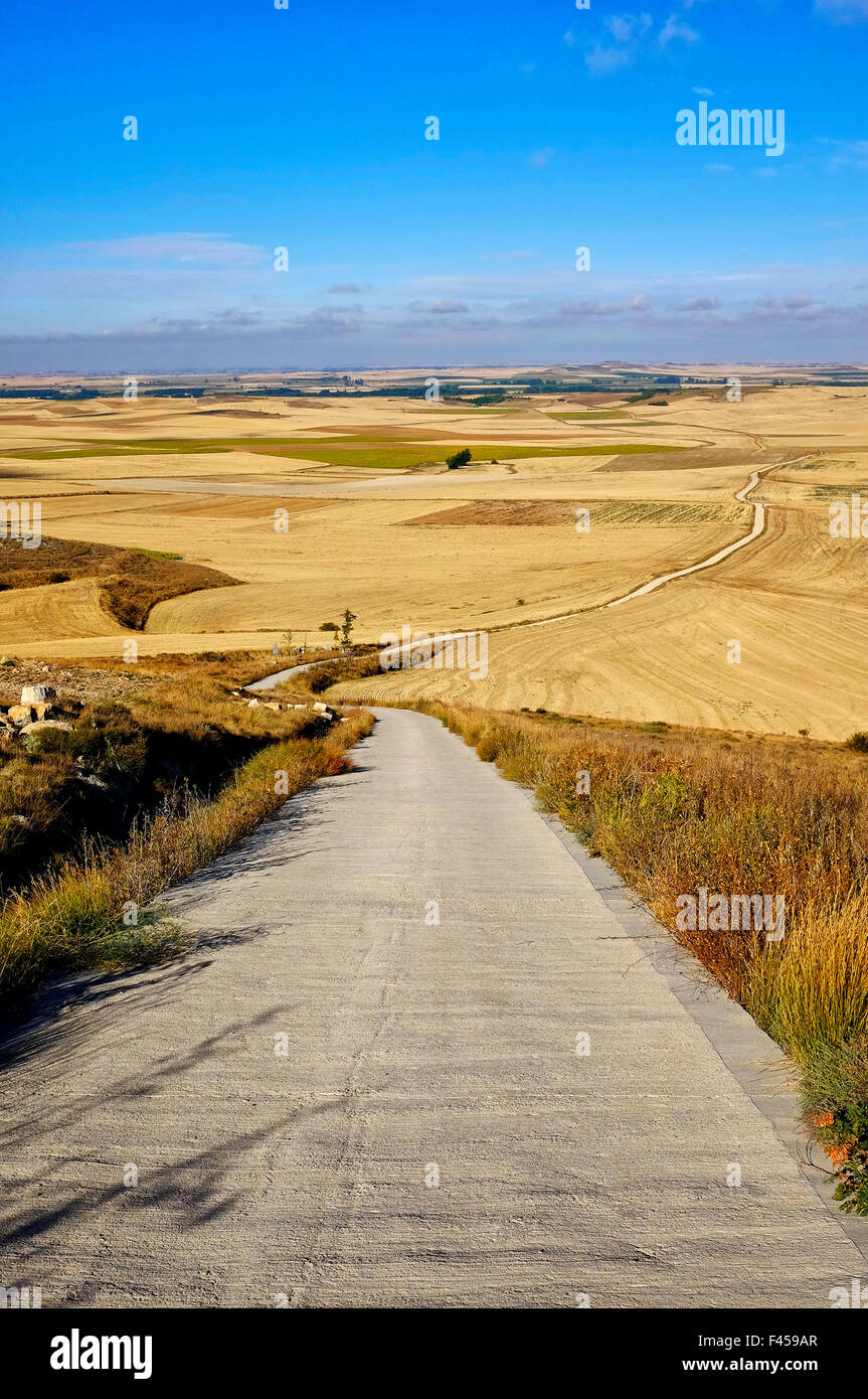 Wheat fields spanish meseta hires stock photography and images Alamy