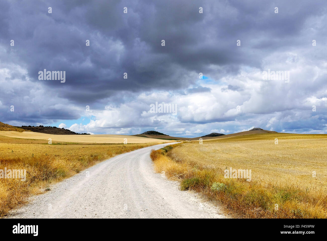 Harvested wheat fields on the Way of Saint James (Camino de Santiago) on the Carretera Boadilla del Camino - Itero de la Vega Stock Photo